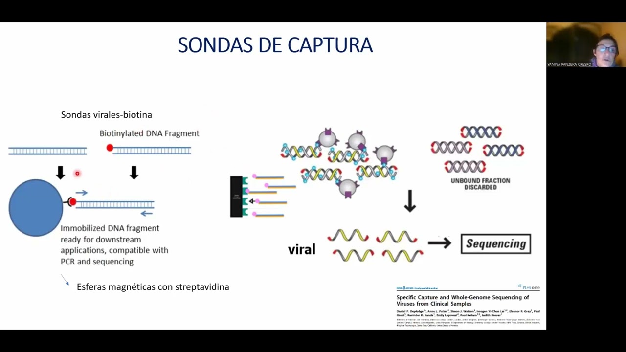 Embedded thumbnail for Genómica viral mediante el uso de sondas de captura y secuenciación masiva: experiencias durante la pandemia COVID-19 en Uruguay